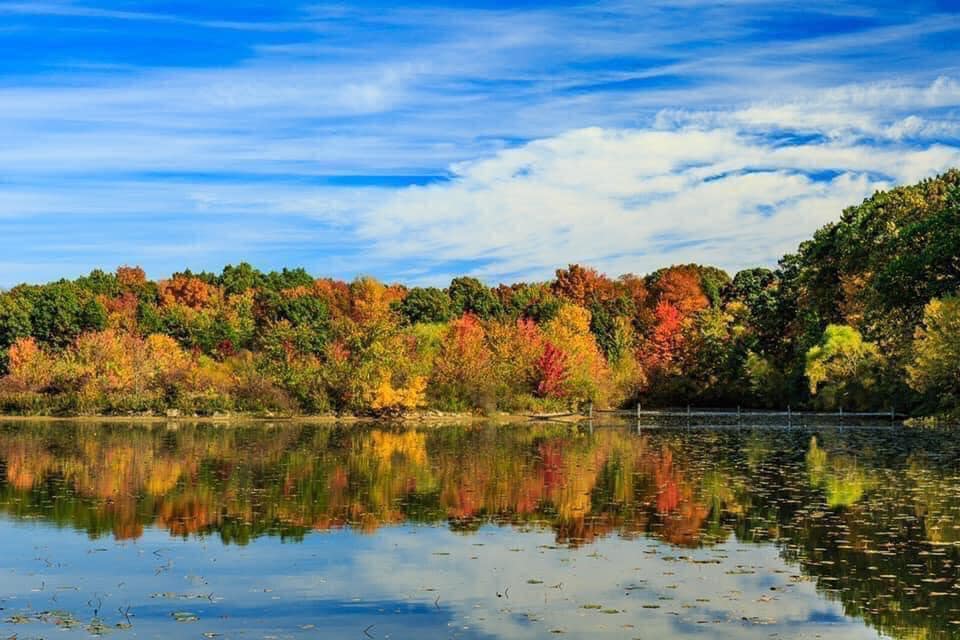fall foliage by a clear lake outdoor activities