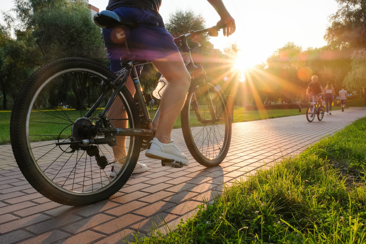 Man rides a bike outdoors in the park on a sunny day at sunset.