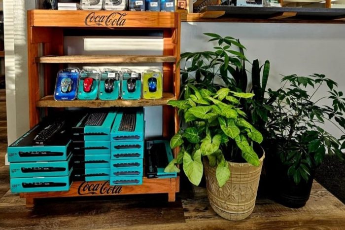 computer accessories and plants