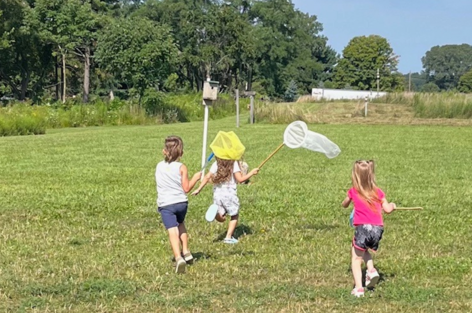 A few kids running in a tree lined field with butterfly nets