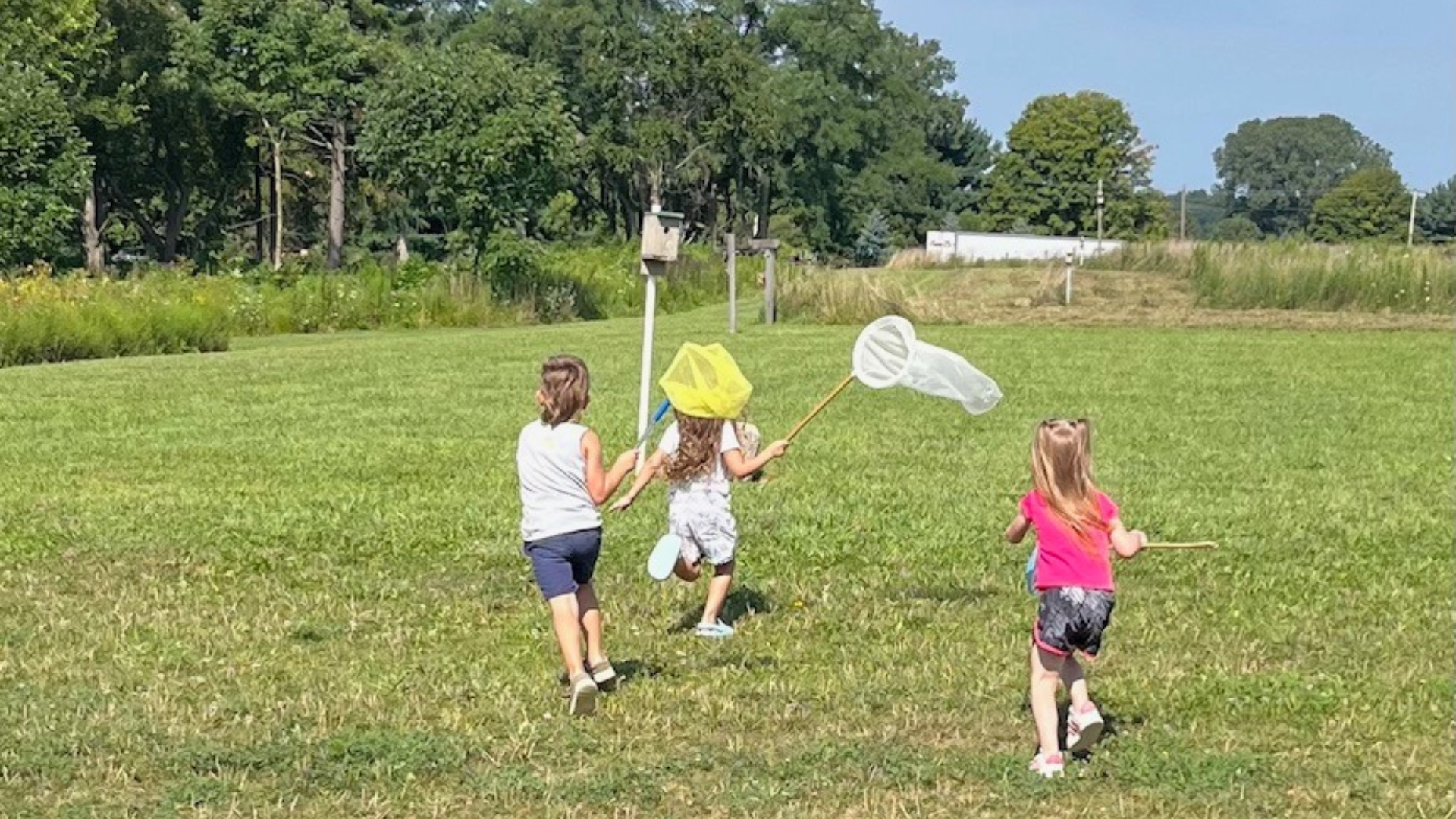 A few kids running in a tree lined field with butterfly nets