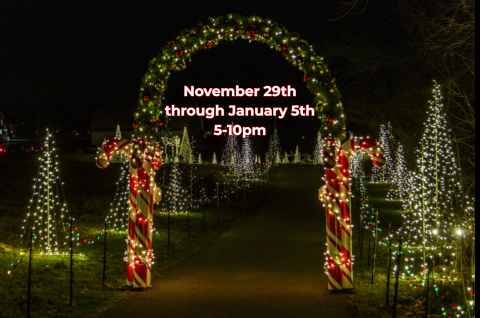 Candy Cane Trail at night with a lighted arch with greenery and ornaments and large candy canes at the base. Lots of lighted trees at lining the path ahead