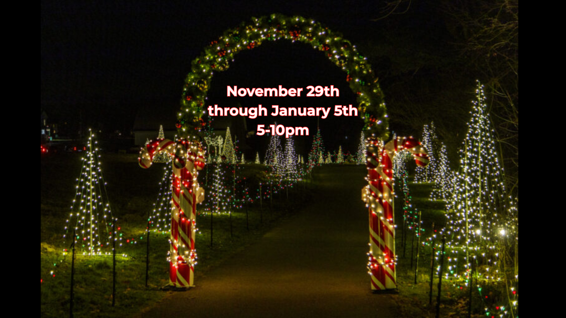 Candy Cane Trail at night with a lighted arch with greenery and ornaments and large candy canes at the base. Lots of lighted trees at lining the path ahead