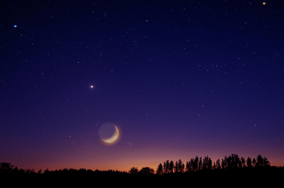A sliver of the moon in a starlit sky at night with a tree line in silhouette