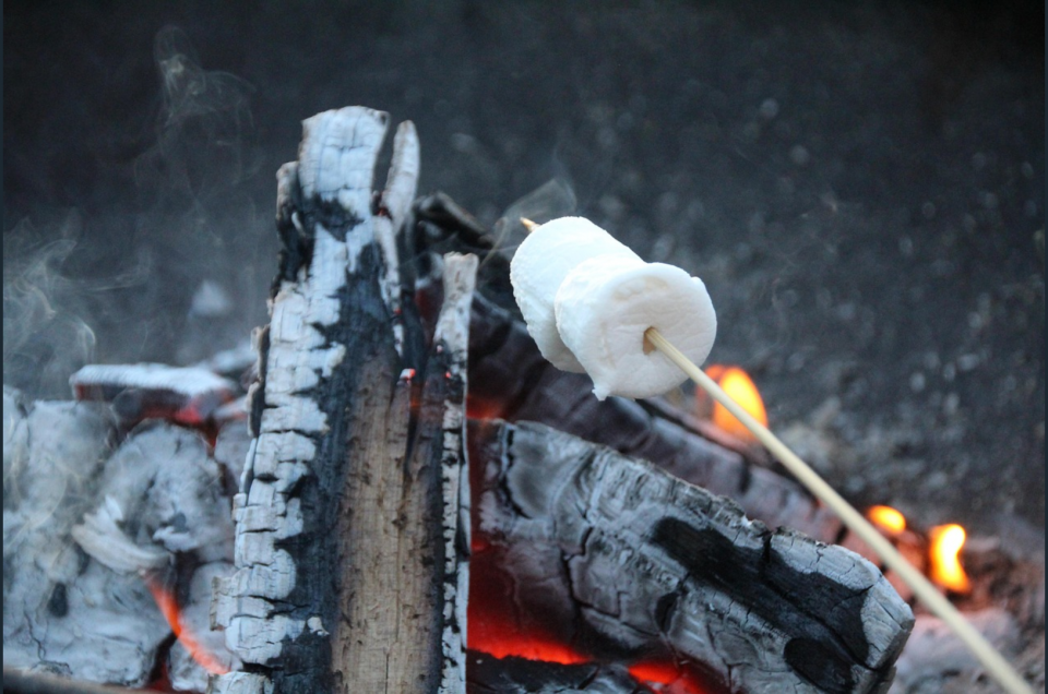 A marshmallow on a skewer over a charred campfire log