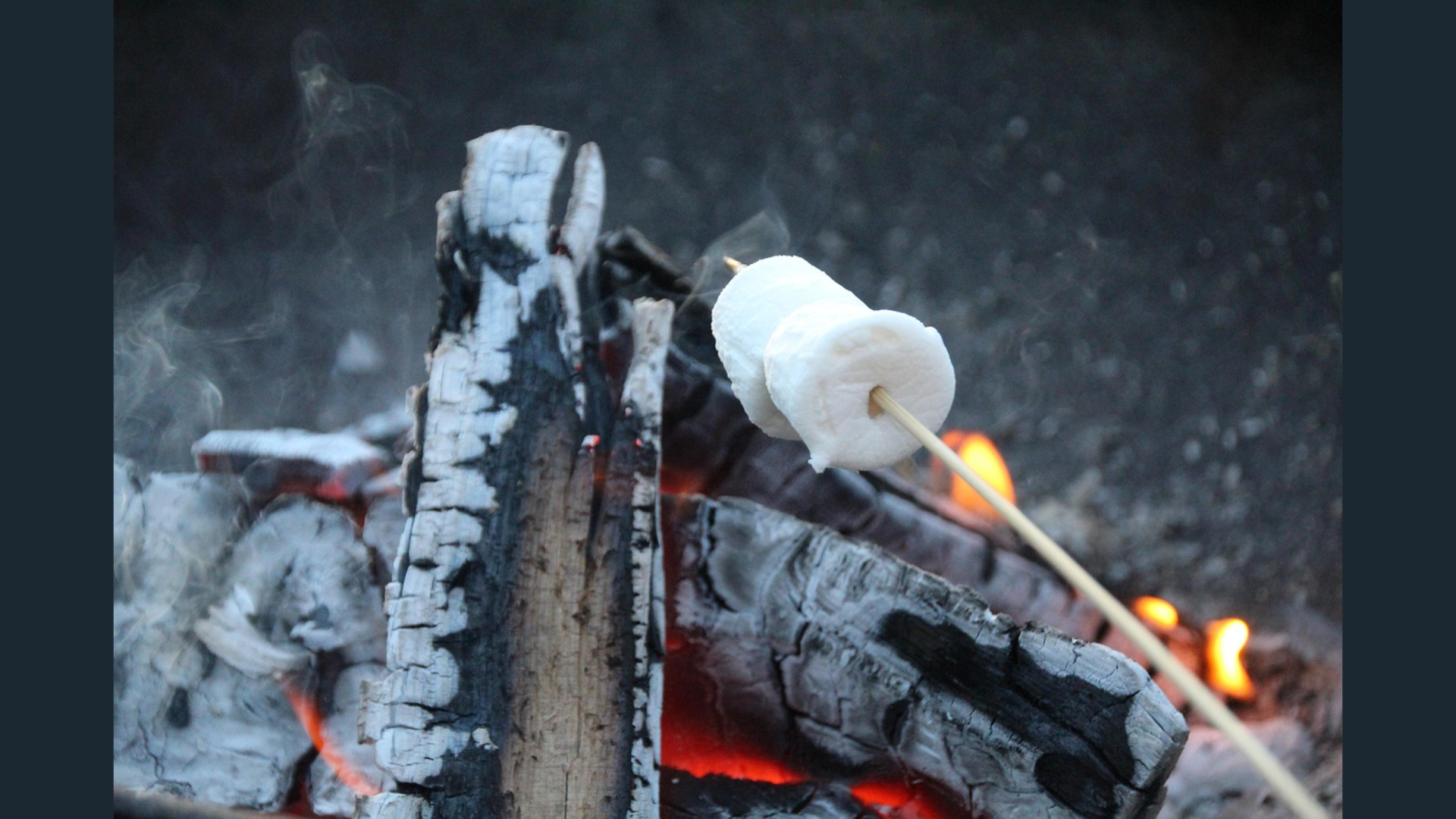 A marshmallow on a skewer over a charred campfire log