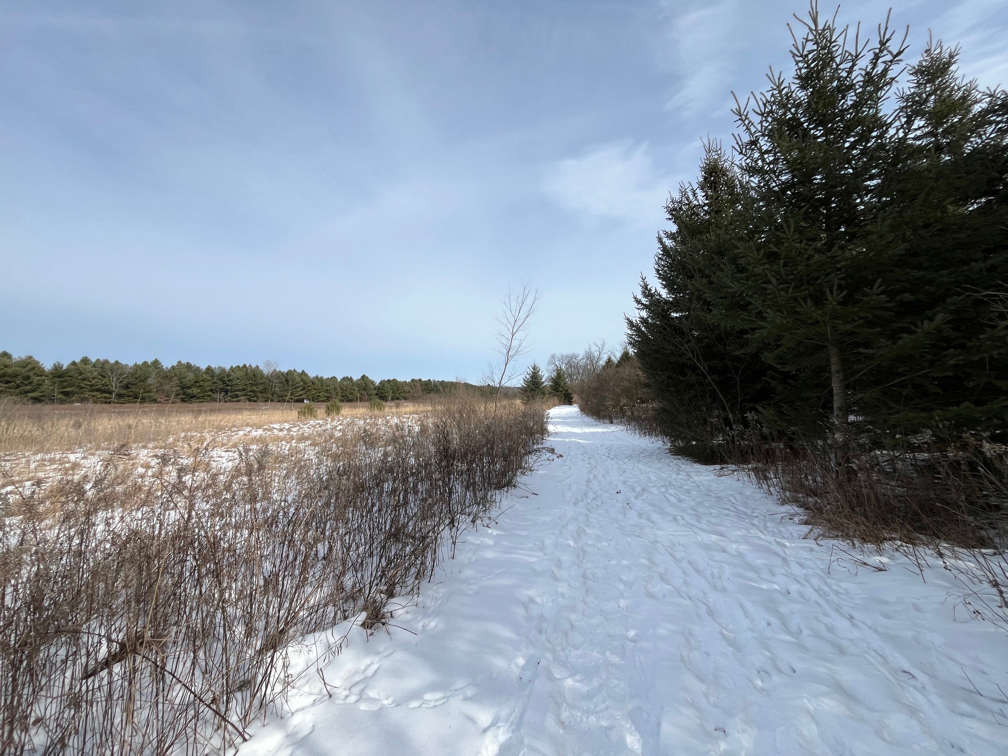A picture of a snowy trail in between woods and a field