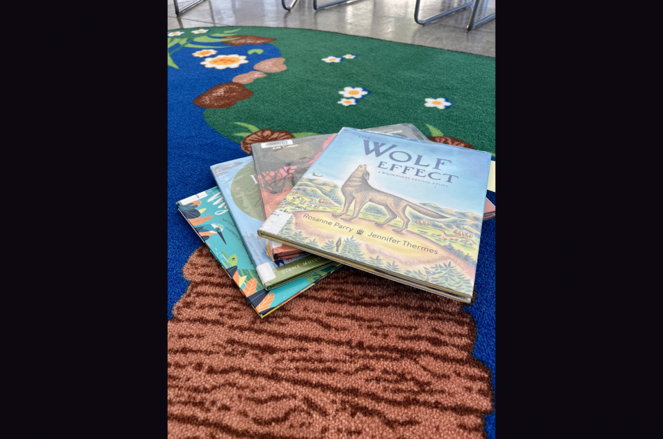 A picture of children's books