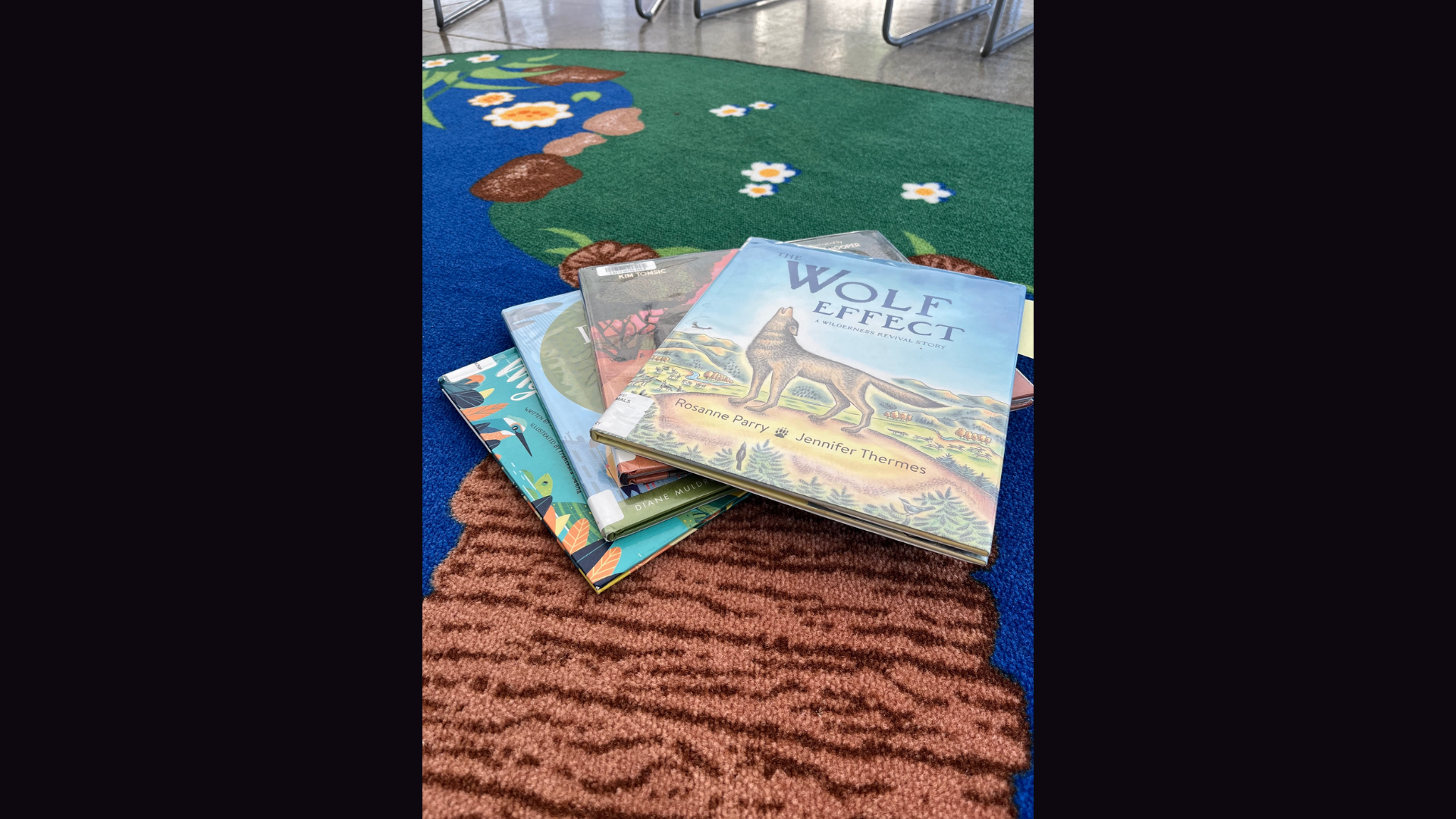 A picture of children's books